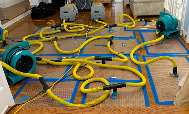 Professional Structural Drying And Dehumidification technician working in Palermo, CA